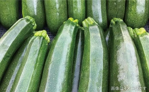 ☆キャンプにもおすすめ☆バーベキュー・グリル用朝獲れ野菜特選セット【福岡県糸島産】(7〜8人分) 糸島市 / オーガニックナガミツファーム 野菜 詰め合わせ 	[AGE039]
