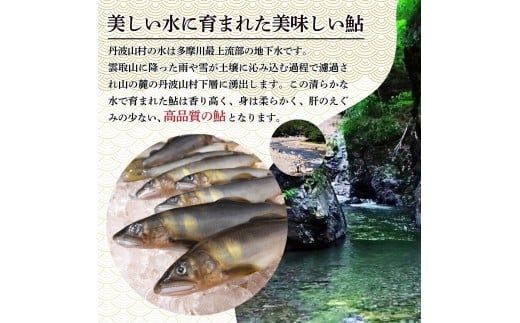 丹波山「鮎めし」 鮎 炊き込みご飯の素 2種 1セット 合計2パック  1パック=2合用 簡単 調理 炊き込み 国産 本格 グルメ 送料無料 ふるさと納税【tab0238-02】