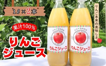 [果汁100%]りんごジュース 1L×2本 (At-001)