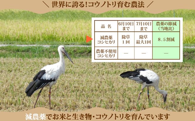 新米 六方たんぼ コシヒカリ 農薬不使用（白米：10kg）令和8年産 / 米 お米 精米 コシヒカリ コウノトリ育む農法