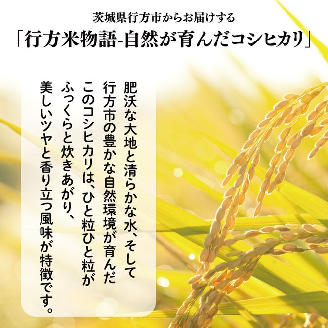 ～農産物直売所「やさいの声」厳選～「行方米物語 - 自然が育んだコシヒカリ３kg」｜米 お米 こめ コシヒカリ ご飯 白ご飯 令和7年産 R7年産 茨城県 行方市(EK-6-2)