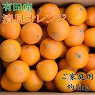 【先行予約】【濃厚】和歌山県有田産 清見オレンジ 約5kg（サイズおまかせ・混合）