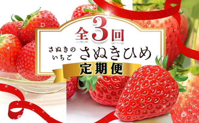 讃岐のいちご定期便（全3回）【さぬきひめ】