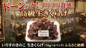 いりすのきのこ 生きくらげ（70g×4パック） 322032_FL001