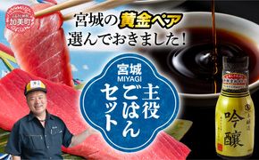 宮城主役ごはんセットC【生本マグロ中トロ 柵（400g）×吟醸醤油（200ml×3本）】 | kami-w-sk-c