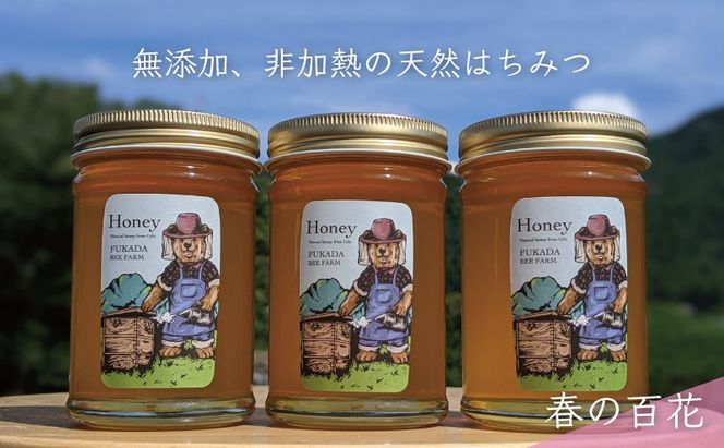 合計690g 天然蜂蜜 国産蜂蜜 非加熱 生はちみつ 岐阜県 美濃市産 春 (蜂蜜230g入りガラス瓶3本セット)A3 深田養蜂のハチミツ