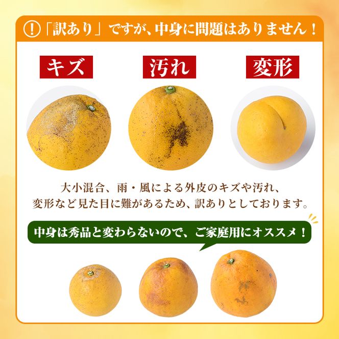 ＜先行予約受付中！2027年3月中旬以降順次発送予定＞訳あり！まなべみかん園の河内晩柑(約20kg) 国産 鹿児島県産 阿久根市産 柑橘類 果物 フルーツ 期間限定 数量限定 デザート 【有限会社まなべみかん園】akn034-21