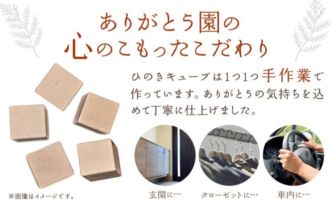 ひのきキューブ 5個 ヒノキ 桧 ウッド 木製 手作り ありがとう園《30日以内に出荷予定(土日祝除く)》岡山県 矢掛町 香り リラックス エコ 送料無料---osy_arihc_30d_24_6000_5---