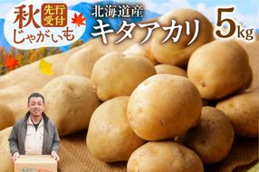 先行受付！ホクホク！しっとりなめらか！ 北海道産 キタアカリ いも じゃがいも きたあかり イモ 約5kg_S041-0007-2026