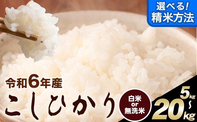 令和6年産 無洗米 も 選べる こしひかり 白米 or 無洗米 選べる精米方法 内容量 5kg 10kg 15kg 20kg 白米 精米 無洗米 熊本県産(南阿蘇村産含む) 単一原料米 南阿蘇村[1月中旬-1月末頃出荷予定]---mna_kh6_j1_24_10000_5kg_h---