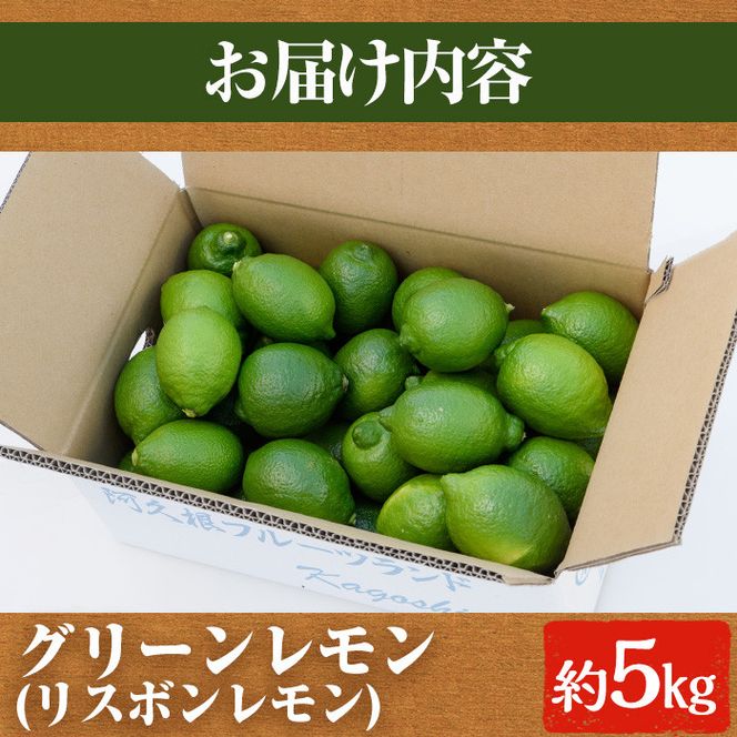 ＜先行予約受付中！2026年9月以降順次発送予定＞数量限定！リスボングリーンレモン(5kg)国産 果実 果物 リスボンレモン フルーツ 檸檬 柑橘 デザート 期間限定【桐野柑橘株式会社】akn070-14