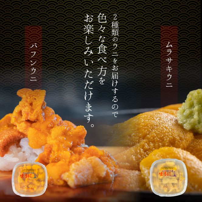 【2026年夏！新岡商店より発送】塩水バフンウニ＆ムラサキウニ（各100g）【銀座の高級寿司店御用達】【余市のうに】塩水ウニ発祥の地 高級ウニ バフンウニ ムラサキウニ _Y037-0337