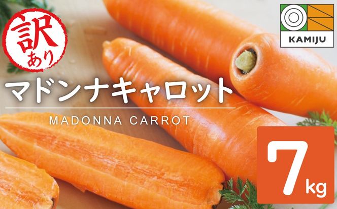 【予約受付】＜フジテレビ『どっちのふるさと？』で紹介されました！＞ 訳あり 冬期限定 にんじん マドンナキャロット 容量 7kg 先行予約 国産 甘い フルーツのような味わい お子様にもおすすめ 栄養 神重農産 野菜 愛知県 碧南市 送料無料 H105-236