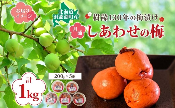 北海道・樹齢130年の梅漬け「しあわせの梅」1kg（200g×5個） 梅干し 漬物 うめ 
