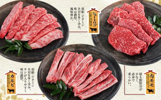 【数量限定】宮崎牛9種盛り焼肉セット≪みやこんじょ特急便≫_22-3101-Q