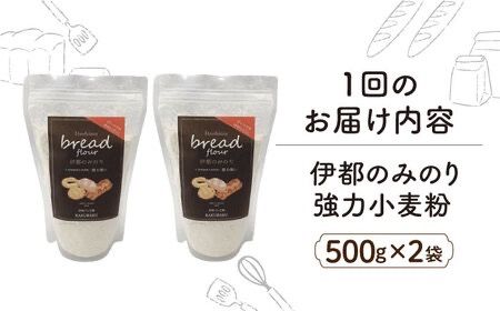 【全12回定期便】特別栽培 小麦 使用 伊都 の みのり( 500g × 2袋 )糸島市 / 天然パン工房楽楽【いとしまごころ】 [AVC068] 小麦 小麦粉 強力 強力粉  特別栽培 パン ぱん ブラン