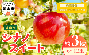 【先行予約丨2026年10月中旬より順次発送】シナノスイート【約3kg (6〜12玉)】(At-011)丨長野県 飯山市 おすすめ ランキング おいしい 高評価 大人気 先取り 産地直送 りんご