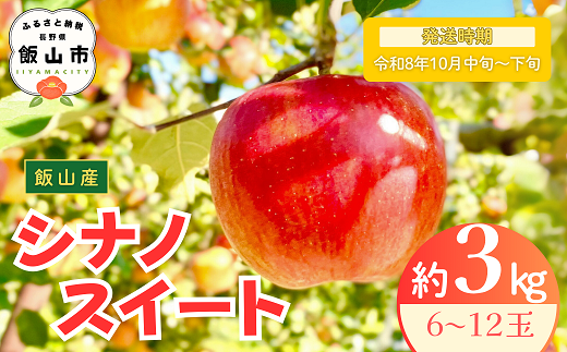 【先行予約丨2026年10月中旬より順次発送】シナノスイート【約3kg (6〜12玉)】(At-011)丨長野県 飯山市 おすすめ ランキング おいしい 高評価 大人気 先取り 産地直送 りんご