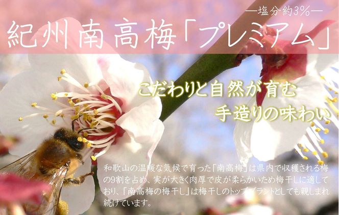 【定期便・3ヵ月毎 全3回】紀州南高梅 プレミアム 850g ［YM12］ 303446_DX90028