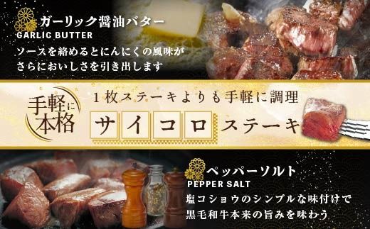 【定期便】黒毛和牛 サイコロステーキ 用 500g × 6ヵ月 【全6回】