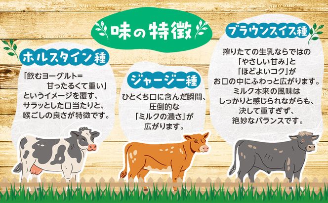 定期便 3ヵ月連続 全3回 のむヨーグルト 生乳100%使用 500ml×6本 北海道産 3種 飲み比べ ホルスタイン ジャージー ブラウンスイス [i・ふぁーむ] 【 飲むヨーグルト 牧場直送 幕別 プレーン 濃厚 牛 朝食 】