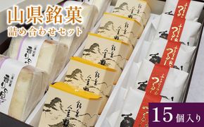 山県銘菓　詰め合わせセット　15個入り [No.374]