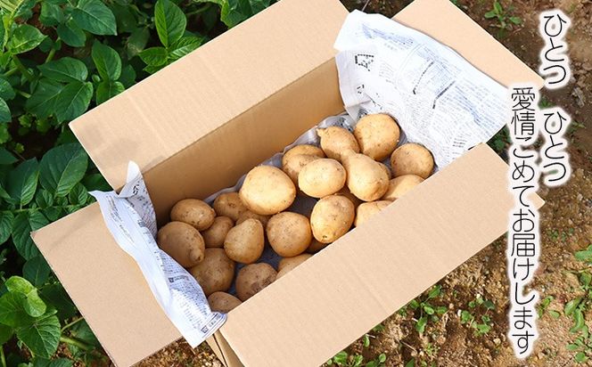 じゃがいも3kg（デジマ）