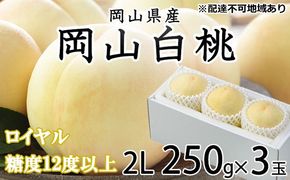 桃 2026年 先行予約 岡山 白桃 ロイヤル 3玉×約250g（2Lサイズ） JA おかやま のもも（早生種・中生種） もも モモ 岡山県産 国産 フルーツ 果物 ギフト 甘い 美味しい 産地直送 贈り物 高糖度 
