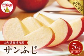 【2026年産】 太陽の恵みをいっぱいに浴びたりんご 「サンふじ」 約5kg (14～18玉) 山形県 東根市 hi026-062