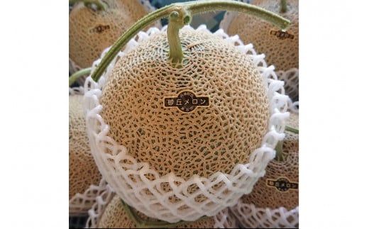 【先行予約／数量限定15】カスタネットメロン1玉(2026年7月中旬～発送)　FK00013