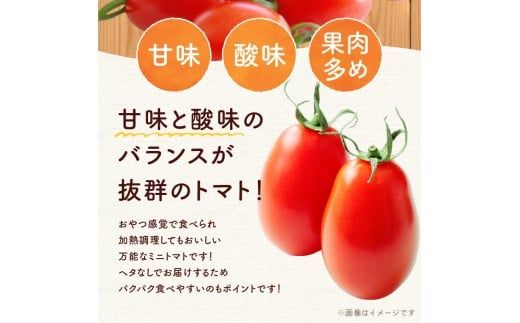 【先行予約2026年7月】おやつに最適！ 甘くてジューシー！ Nicoロッソ 4kg ヘタなしミニトマト  甘くて果肉たっぷり_Y124-0026