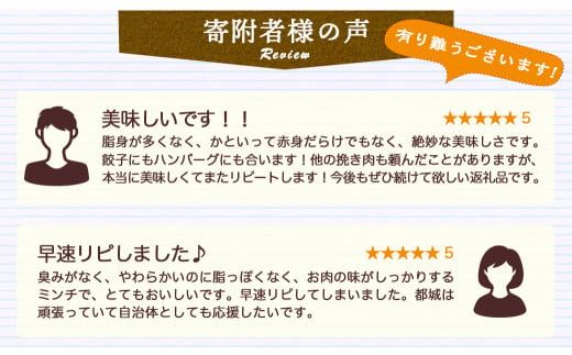 観音池ポーク100％ミンチ3kg(真空)_13-1504_ (都城市) 銘柄豚肉 豚ミンチ肉(500g×6パック) 合計3キロ 真空パック 豚ひき肉 冷凍肉 ブランドポーク 国産豚肉 観音池ポーク 豚肉 肉