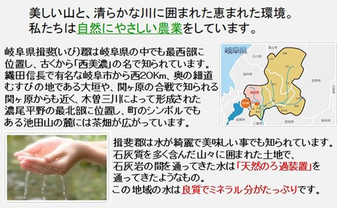 【令和7年産】特別栽培米 10kg【白米、7分ツキ】（ミルキークイーン）