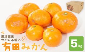 産地直送 有田みかん サイズ 不揃い 約5kg 喜楽farms 【2025年11月以降順次発送】  AL19