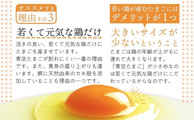 有田の青空たまご ササキのたまご Mサイズ 60個入   AS004