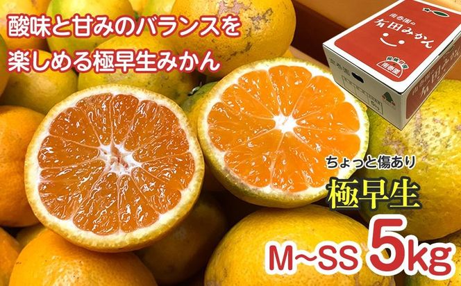 定期便 ちょっと 傷あり 5kg ×3 回 コース 有田みかん 食べくらべ 3種 全3回 南泰園 BS815