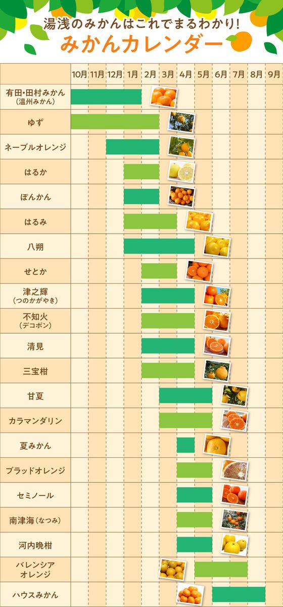AB7373_Y_【直営限定】《先行予約・2027年3月発送》希少柑橘 ご家庭用 ブラッドオレンジ　サイズ混合/ご家庭用/2kg(傷み補償200g)