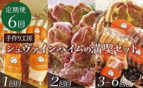 【定期便6回お届け】手作りハム工房シュヴァインハイムの満喫セット 金賞受賞 ドイツ仕込み ソーセイジ ソーセージ ウインナー 人気 詰め合わせ 食べ比べ 肉 加工肉 粗挽き ロースハム ベーコン 豚肩ロース ジャーキー キャンプ BBQ ギフト 時短料理 H003-049