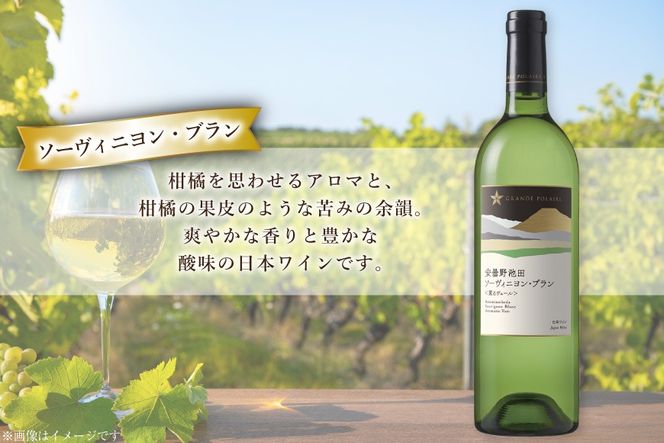 ワイン セット サッポログランポレール 安曇野池田ヴィンヤードワイン 赤白2種セット 750ml 計2本 [ナチュラルマルシェ ソヨソヨ 長野県 池田町 48110929] 酒 お酒 アルコール 赤 赤ワイン 白 白ワイン 国産 あるこーる ぶどう 特別 フルボディ 辛口 料理 セット