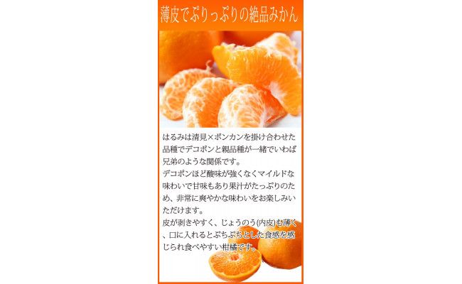 果肉ぷりぷり!完熟はるみ 5kg