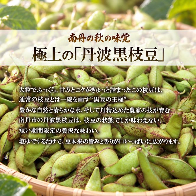 枝豆 令和8年10月発送分 先行予約 京都丹波産 丹波黒枝豆 枝付き 2kg 黒枝豆