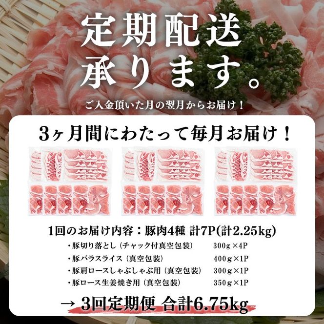 【定期便 全3回】【数量限定】小分け・真空パック!九州産豚肉4種セット(計6.75kg・2.25kg×3回) t0039-004