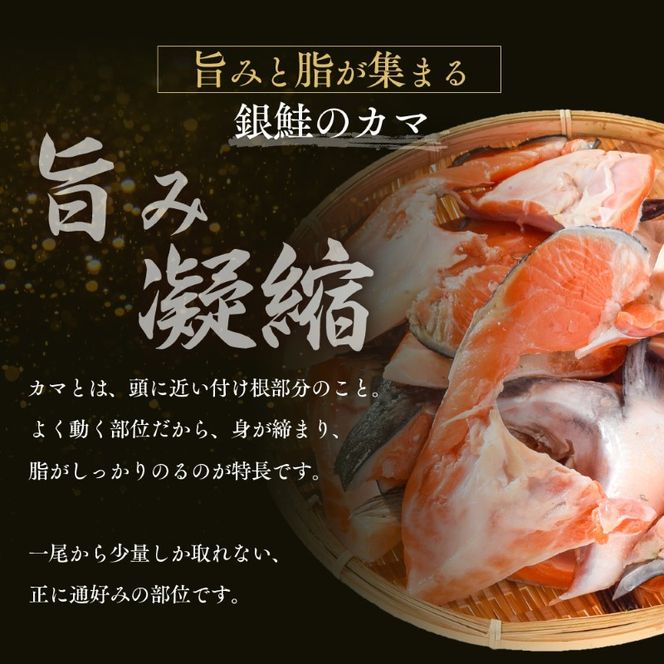 【ふるさと納税】訳あり 鮭 カマ 選べる 1kg 2kg 3kg しゃけ かま 塩銀鮭 サーモン 切り身 厚切り 冷凍 焼き鮭 おかず 朝食 お弁当 魚 海鮮 海産物 訳アリ 焼き魚 送料無料 福井県 若狭町