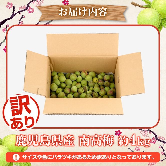 ＜先行予約受付中！2026年5月下旬以降順次発送予定＞訳あり！鹿児島県産 南高梅(約4kg) 国産 果物 梅 うめ ウメ ナンコウウメ 和食 梅干し 梅酒 梅シロップ 訳アリ サイズ混合 期間限定【松永青果】akn053-09