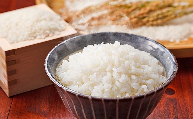 令和8年度産米 にこまる 5kg 福岡県朝倉産 白米 精米 お米