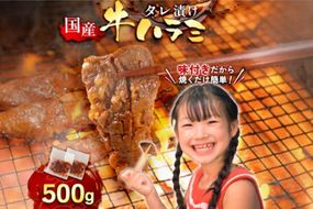 牛肉 焼肉 国産 特製たれ漬 牛ハラミ サガリ 500g [宇美ホルモン 福岡県 宇美町 um40azp100003] ハラミ はらみ 牛はらみ 小分け 個包装 牛 肉 焼き肉 ホルモン タレ漬け たれ漬け