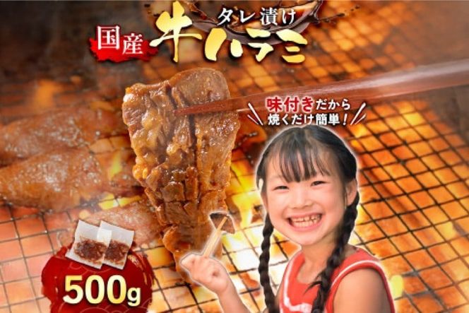 牛肉 焼肉 国産 特製たれ漬 牛ハラミ サガリ 500g [宇美ホルモン 福岡県 宇美町 um40azp100003] ハラミ はらみ 牛はらみ 小分け 個包装 牛 肉 焼き肉 ホルモン タレ漬け たれ漬け