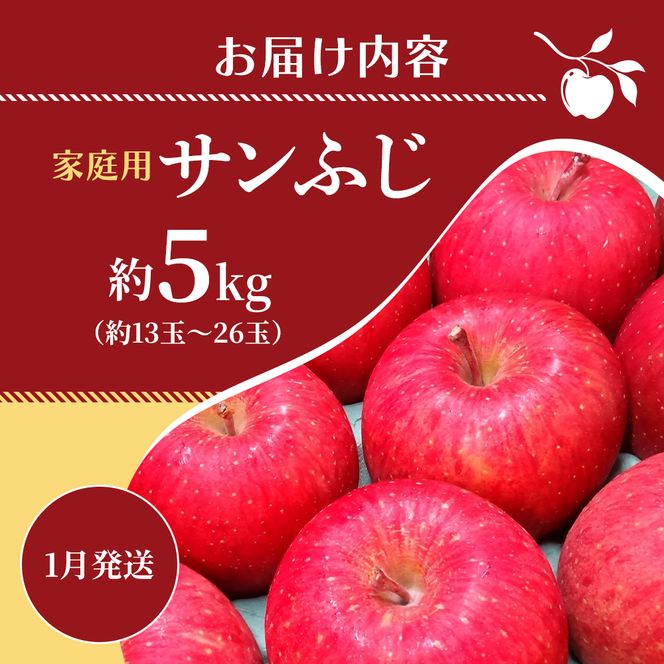 1月発送 家庭用 サンふじ 約5kg【訳あり】【原正りんご 青森県産 津軽産 リンゴ 林檎】 果物類 希少 葉取らず 完熟 安心 丸かじり 甘い 高糖度 