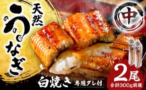 熊本県八代市産 天然うなぎ 白焼 (中) 2尾 合計300g前後 蒲焼のたれ付き 鰻 国産 蒲焼 ウナギ うなぎ 丑の日 冬が旬 冷凍 熊本県 八代市