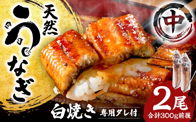 熊本県八代市産 天然うなぎ 白焼 (中) 2尾 合計300g前後 蒲焼のたれ付き 鰻 国産 蒲焼 ウナギ うなぎ 丑の日 冬が旬 冷凍 熊本県 八代市